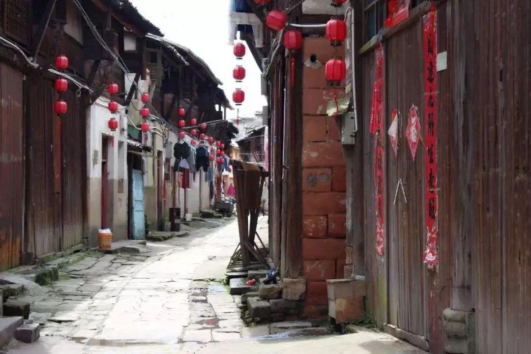 盐和避难所
